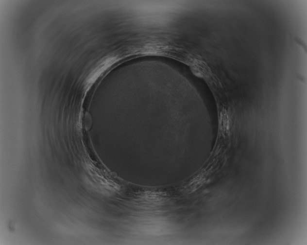 X0000102040292200807181518