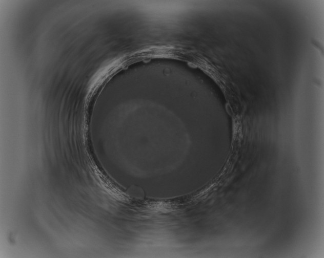 X0000102040293200807181518