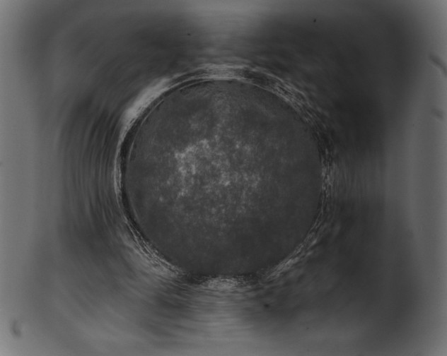 X0000102040294200807181518