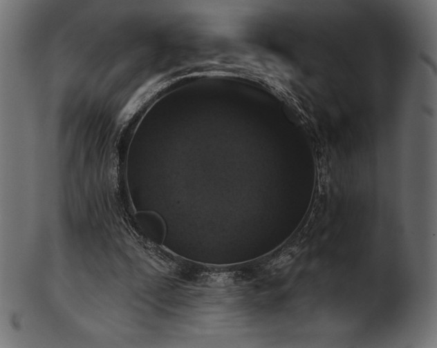 X0000102040295200807181518