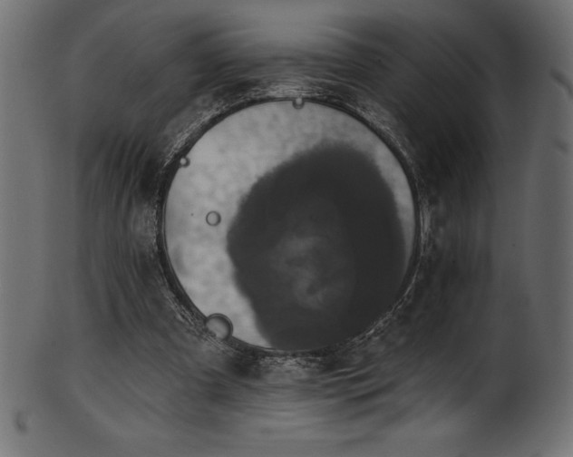 X0000102040297200807181518