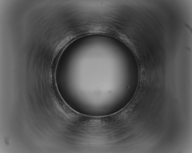 X0000102040298200807181518