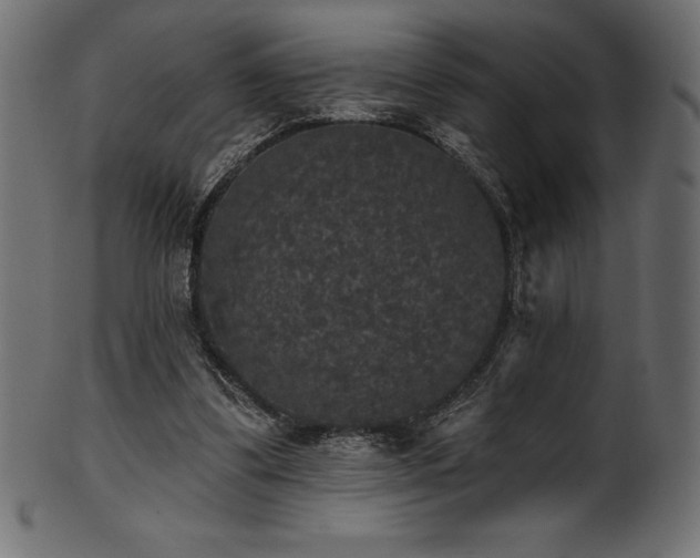 X0000102040299200807181518