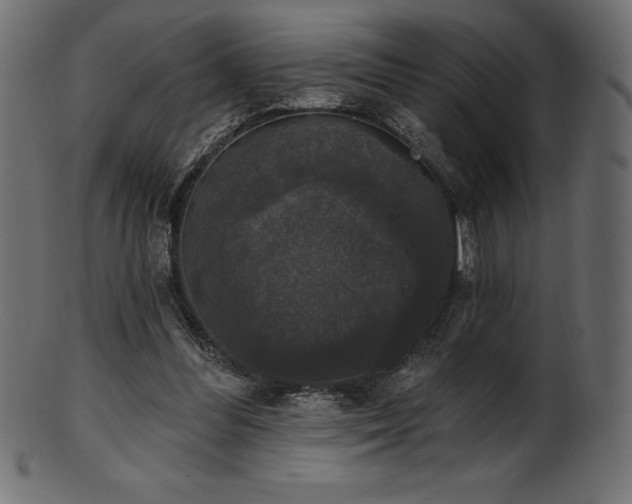 X0000102040300200807181518