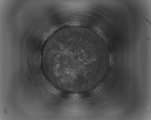 X0000102040301200807181518