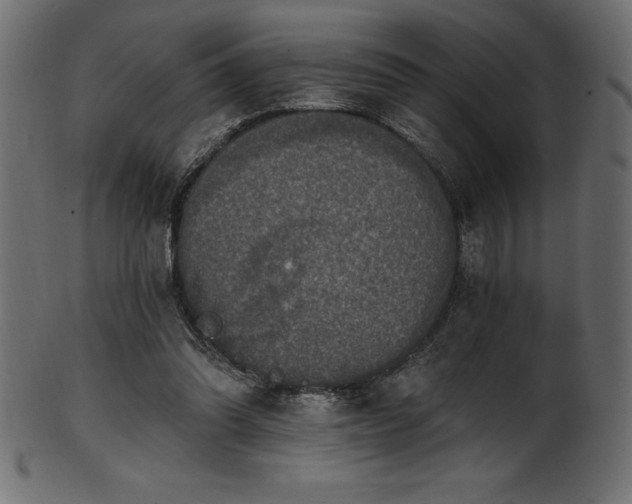 X0000102040302200807181518