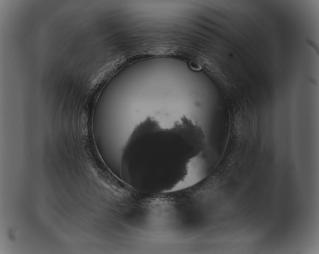 X0000102040303200807181518