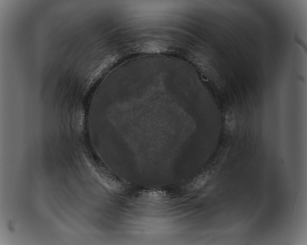 X0000102040304200807181518