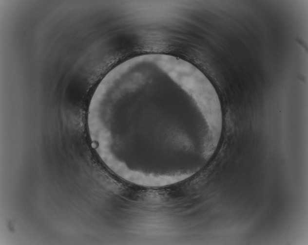 X0000102040305200807181518