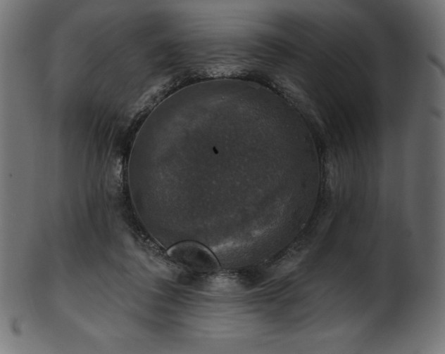 X0000102040308200807181518