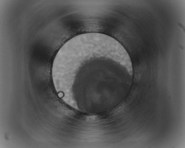 X0000102040309200807181518