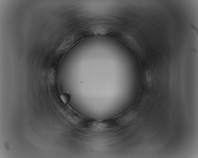 X0000102040311200807181518