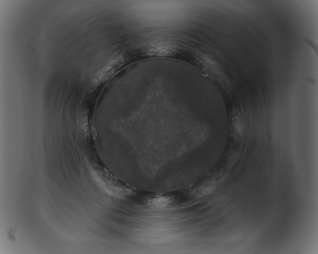 X0000102040312200807181518