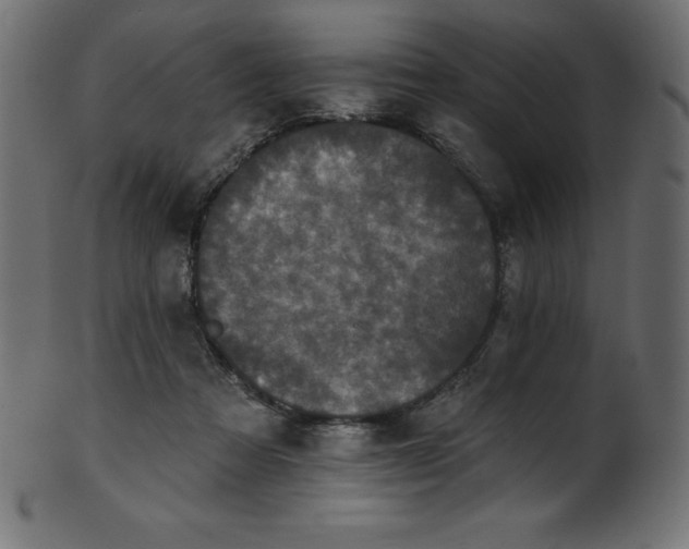 X0000102040313200807181518