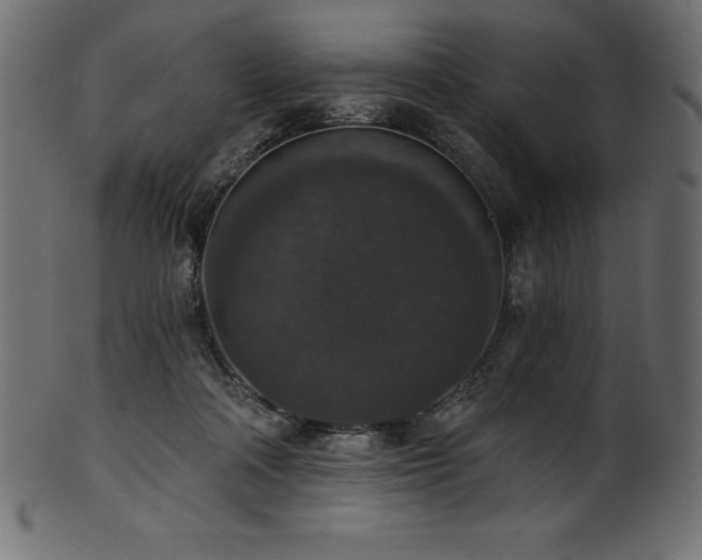 X0000102040314200807181518