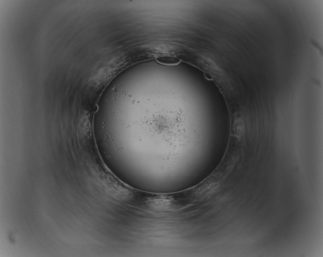 X0000102040318200807181518