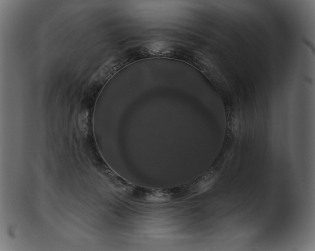 X0000102040319200807181518