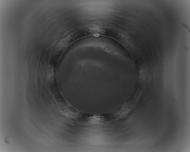 X0000102040320200807181518