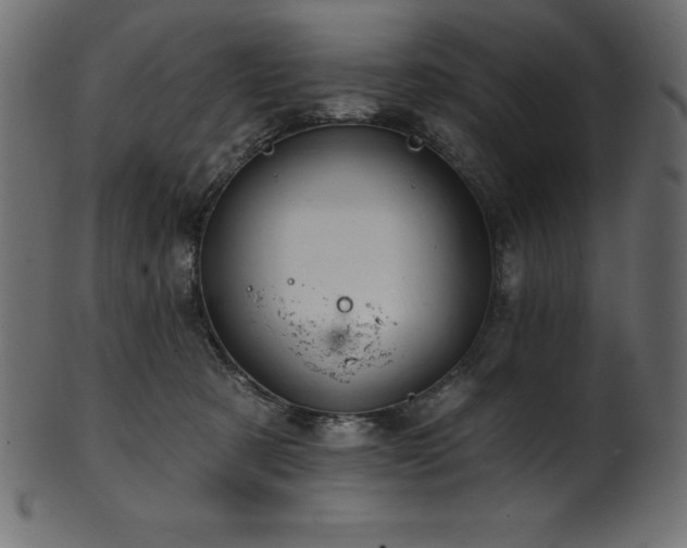 X0000102040321200807181518