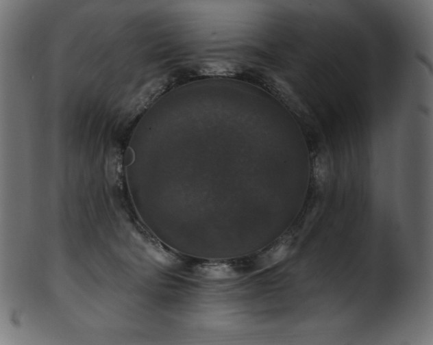 X0000102040322200807181518