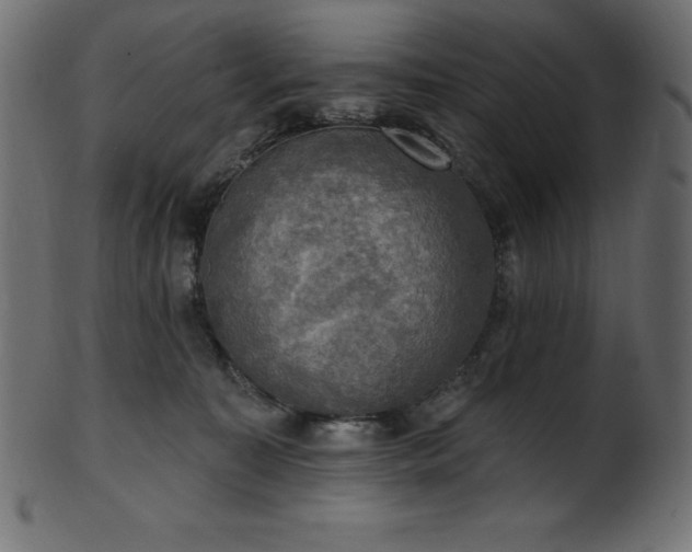 X0000102040323200807181518