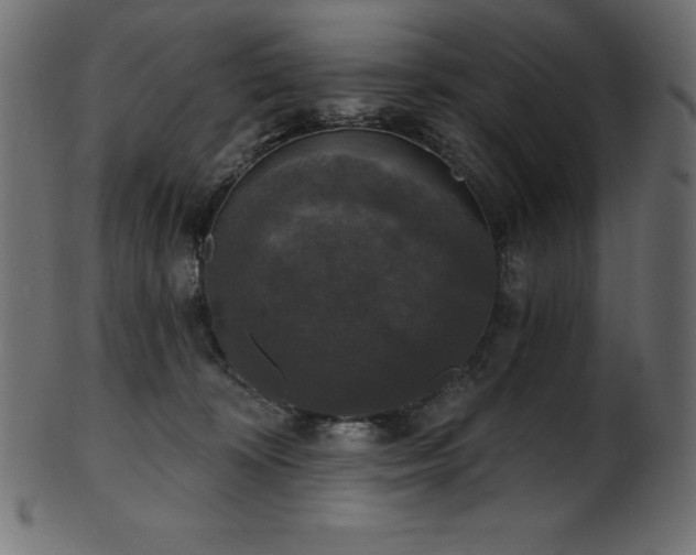 X0000102040324200807181518