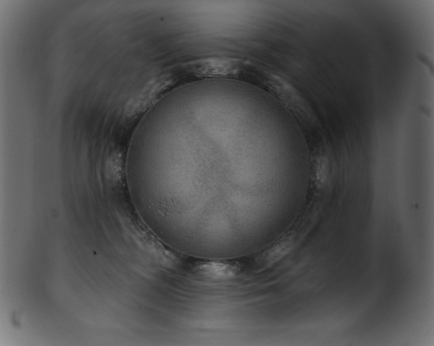 X0000102040326200807181518