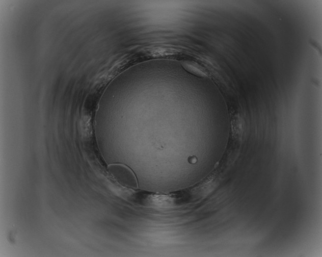 X0000102040327200807181518