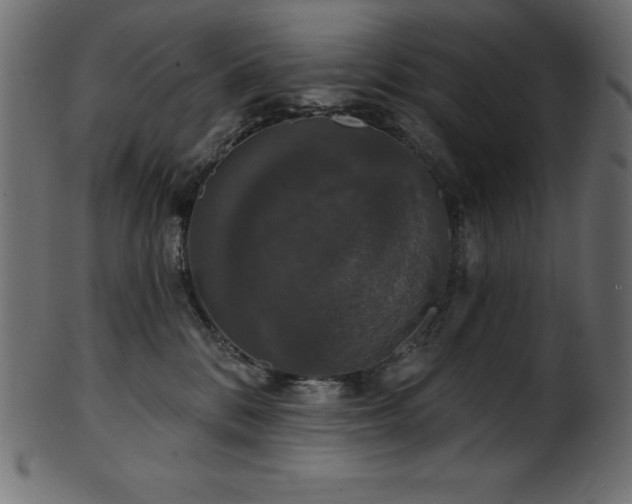 X0000102040328200807181518