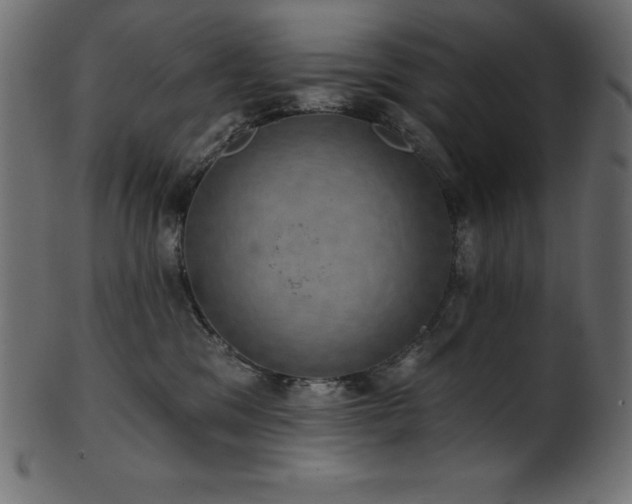 X0000102040329200807181518