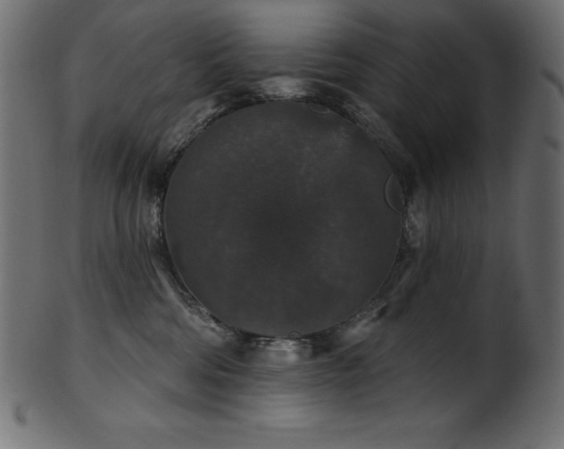 X0000102040330200807181518