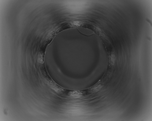 X0000102040331200807181518