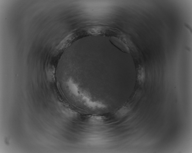 X0000102040332200807181518