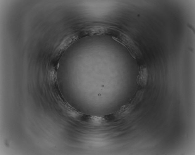 X0000102040333200807181518