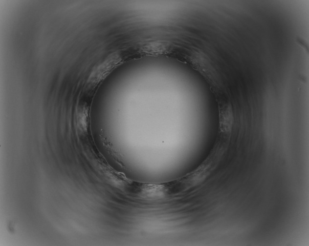 X0000102040334200807181518