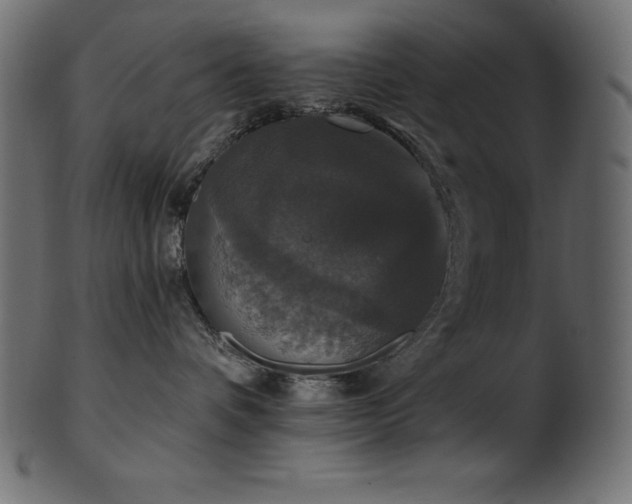 X0000102040336200807181518