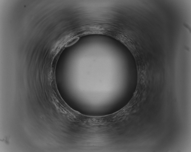 X0000102040338200807181517