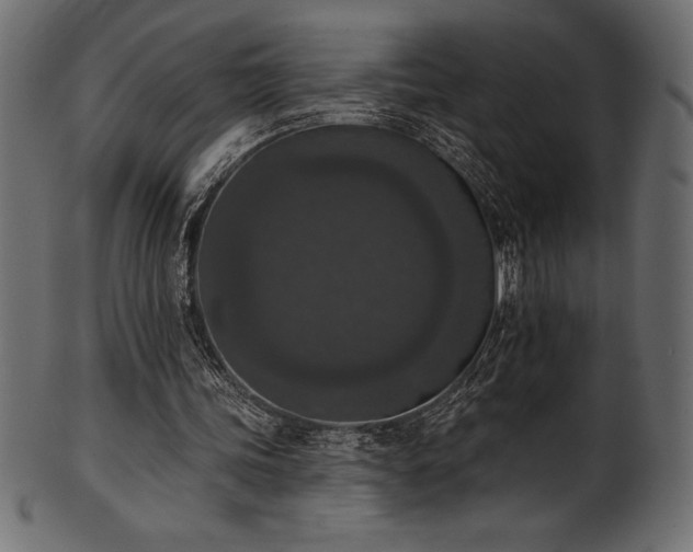 X0000102040339200807181517