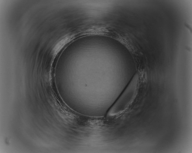 X0000102040340200807181517