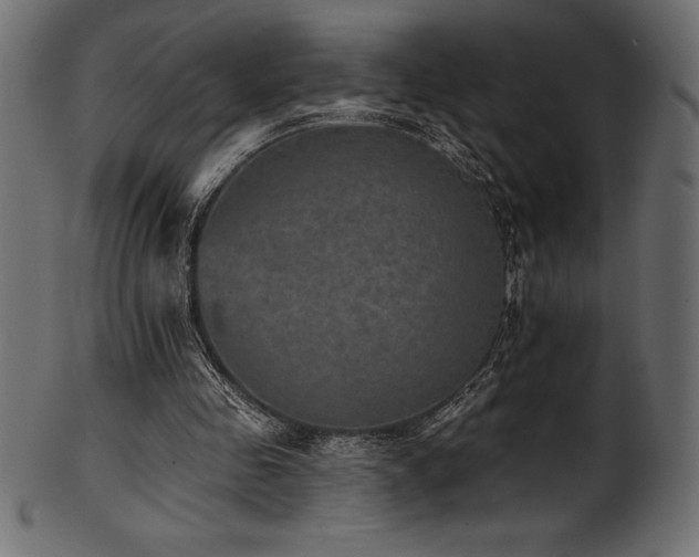 X0000102040341200807181517