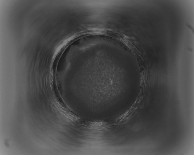 X0000102040342200807181517