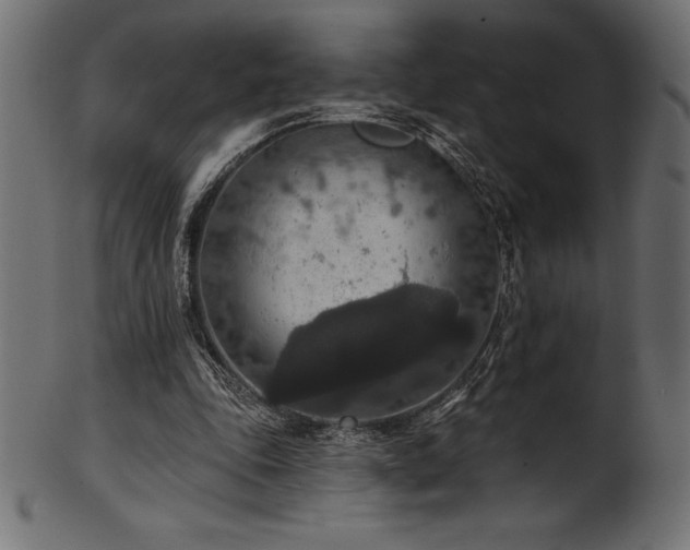 X0000102040343200807181517