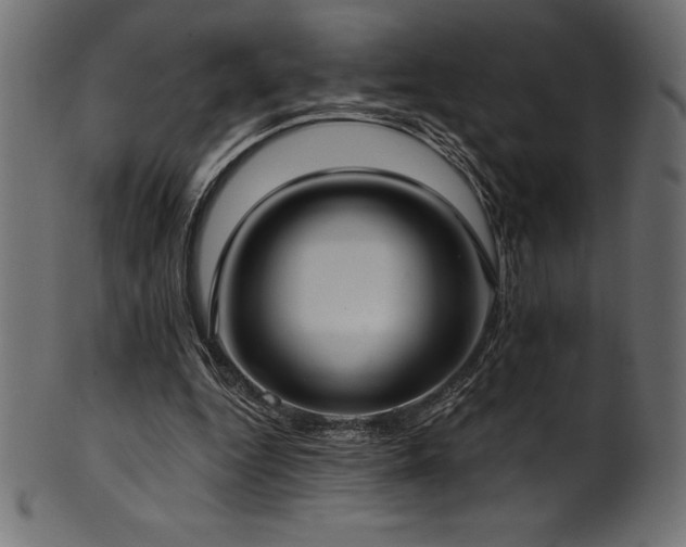 X0000102040344200807181517