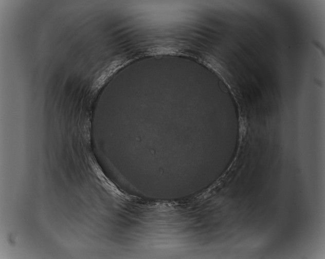 X0000102040345200807181517