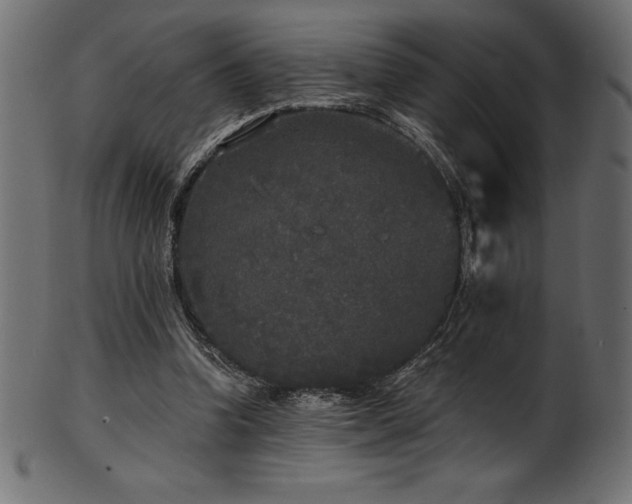 X0000102040346200807181517