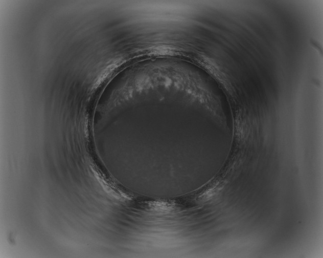 X0000102040347200807181517