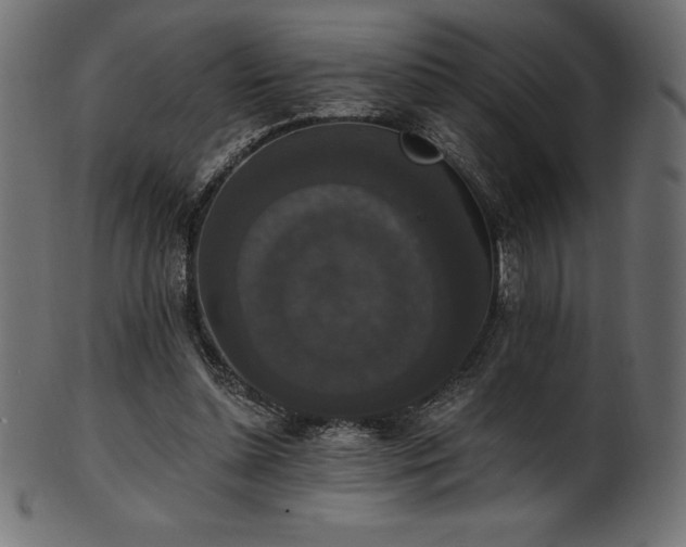 X0000102040348200807181517