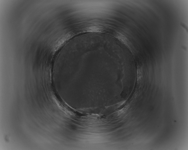 X0000102040349200807181517