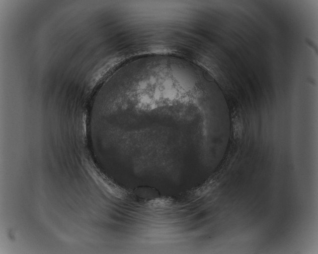 X0000102040350200807181517