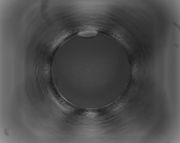 X0000102040352200807181517